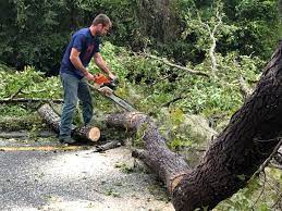 Mulching Services in Carlisle, OH