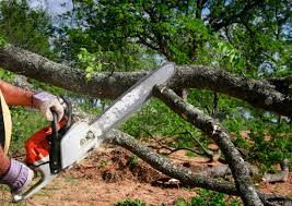 Soil Testing and Treatment in Carlisle, OH